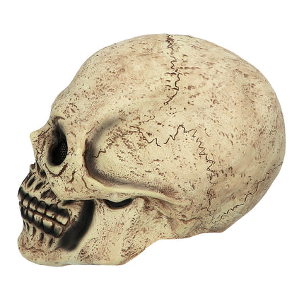 Latex hoofdmasker Skull zijaanzicht met schedelnaad en bruine verweringsvlekken