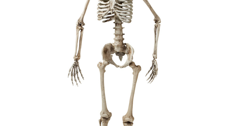 Nep skelet van 160 cm met vergeelde botten en gebarsten schedel als halloweendecoratie