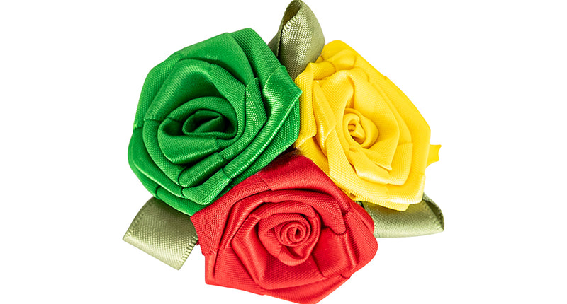 PartyXplosion Broche roosjes limburg rood geel groen