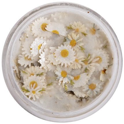PXP bloemetjes in wax madeliefjes in een rond potje, witte bloemvormen met groene blaadjes