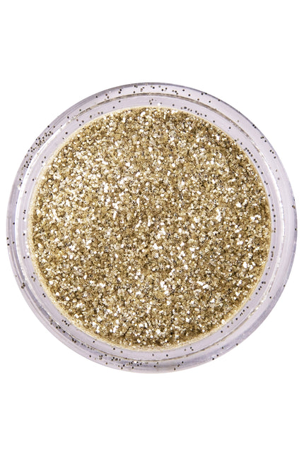 PXP Professional Colours PXP biologisch afbreekbaar poeder glitter Hollands Zilver 2,5 gram