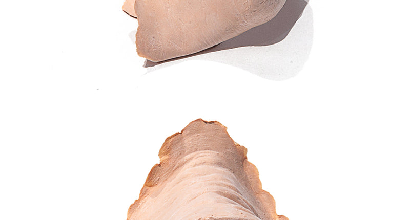 PXP Professional Colours PXP Latex varkensneus