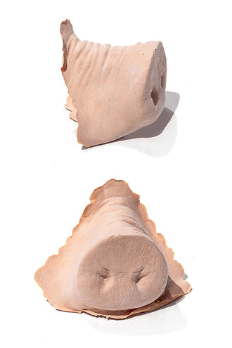 PXP Professional Colours PXP Latex varkensneus