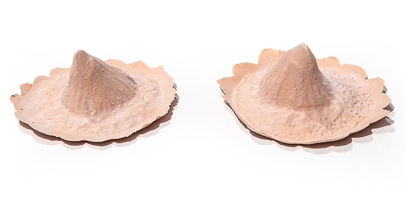 PXP Professional Colours PXP Latex vlakke hoorns