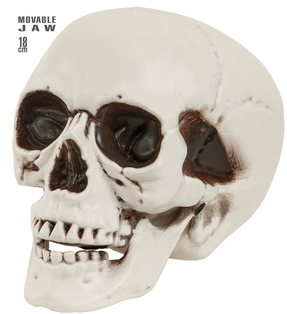 Schedel met beweegbare kaak in gebroken wit met donkere oogkassen, 18 cm decoratie