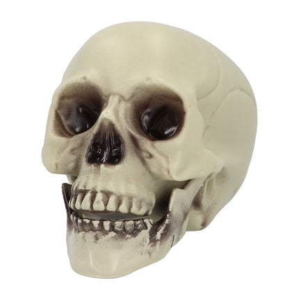 Schedel Whisperbone in crème met open onderkaak en bruin verweerde oogkassen, Halloween decoratie