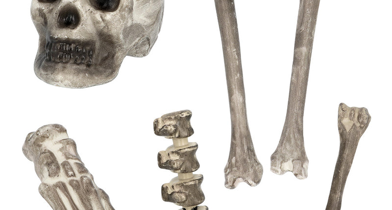 Set 6 schedel en beenderen: schedel, botten, voet en wervels in vuilwit voor Halloween