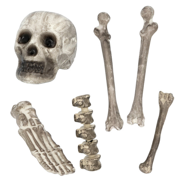 Set 6 schedel en beenderen: schedel, botten, voet en wervels in vuilwit voor Halloween