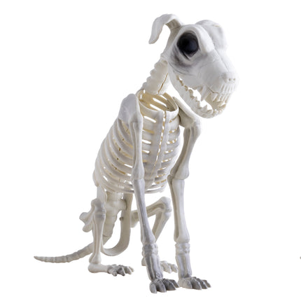 Skelet van hond in botwit, zittend met kop schuin en open bek, Halloween decoratie