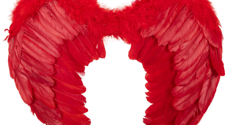 Veren vleugels duivel rood luxe met pluizige bovenrand en lange rode slagpennen voor Halloween