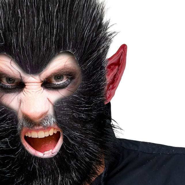 Weerwolf oren, donkerrode spitse oortop over het eigen oor gedragen bij een weerwolflook voor Halloween