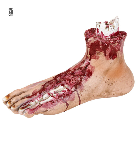 Widmann SRL Afgehakte voet van een mens