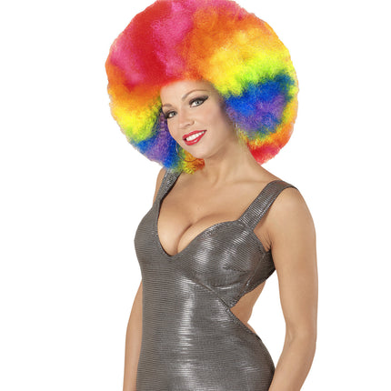 Widmann SRL Afro pruik regenboogkleur