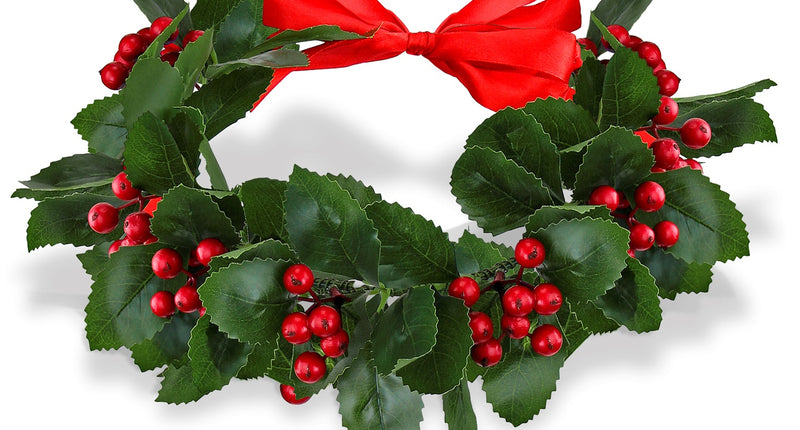 Widmann SRL Afstudeer lauwerkrans