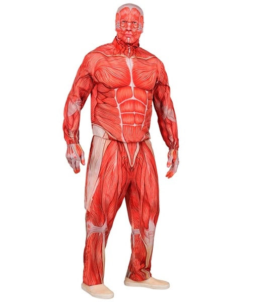 Widmann SRL Anatomie kostuum Bente