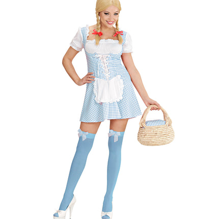 Widmann SRL Beiers Dirndl jurkje Erika