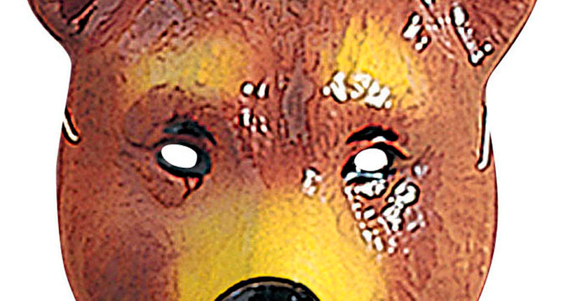 Widmann SRL Beren masker kind