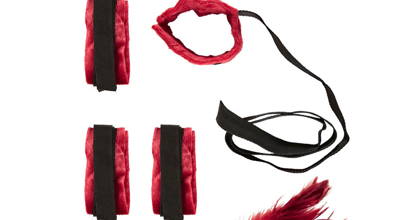 Widmann SRL Bondage setje