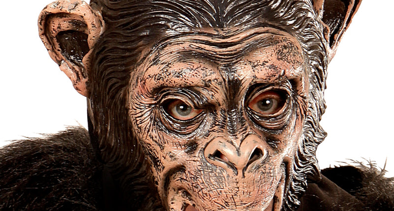 Widmann SRL Chimpansee masker
