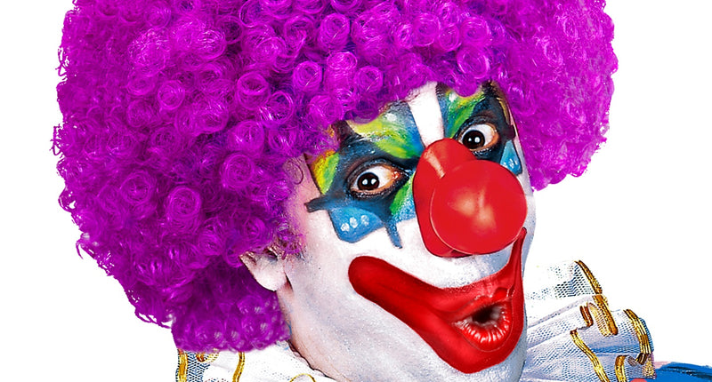 Widmann SRL Clownspruik krulletjes paars