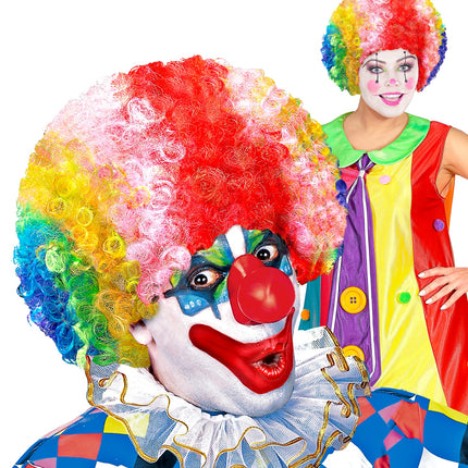 Widmann SRL Clownspruik regenboog