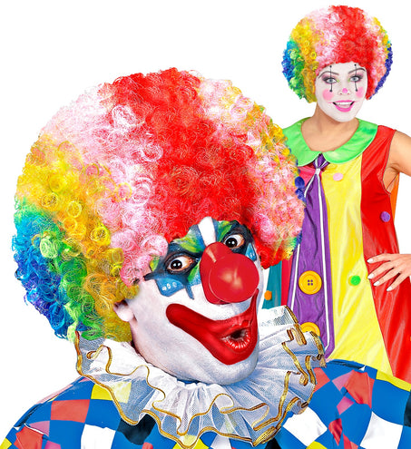 Widmann SRL Clownspruik regenboog