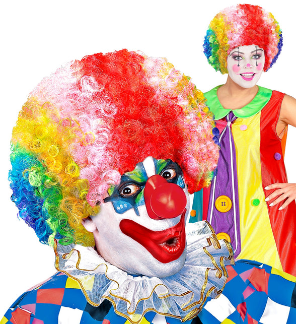 Widmann SRL Clownspruik regenboog