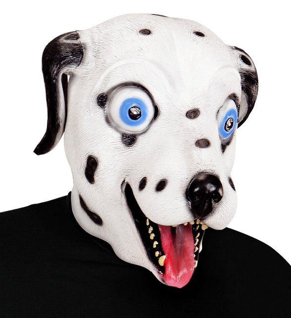 Widmann SRL Dalmatiër hoofd voor een party
