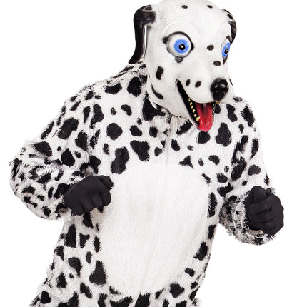 Widmann SRL Dalmatiër hoofd voor een party