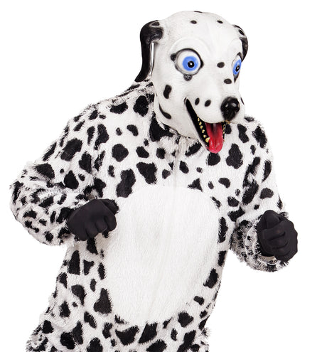 Widmann SRL Dalmatiër hoofd voor een party