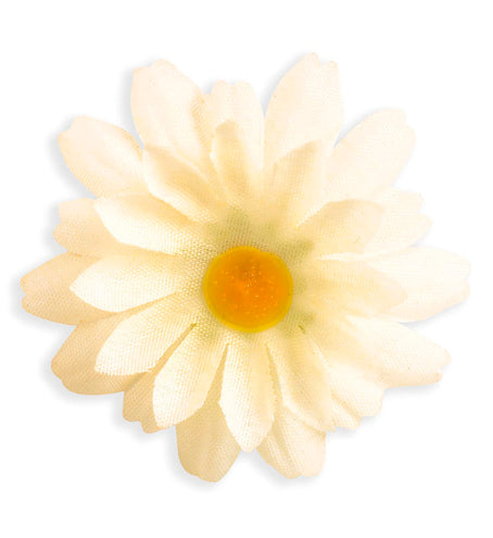 Widmann SRL Decoratie Margrietjes