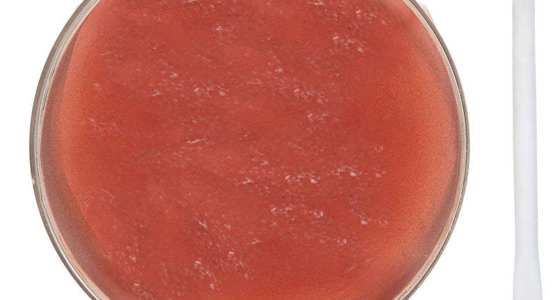 Widmann SRL Derma wax