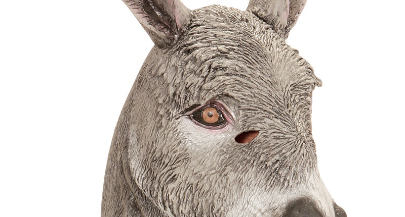 Widmann SRL Ezel masker voor party's