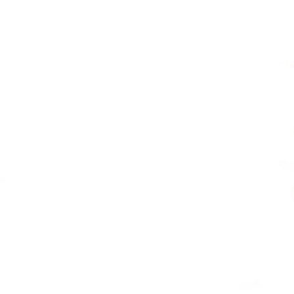 Widmann SRL Goedkope kerstmanset