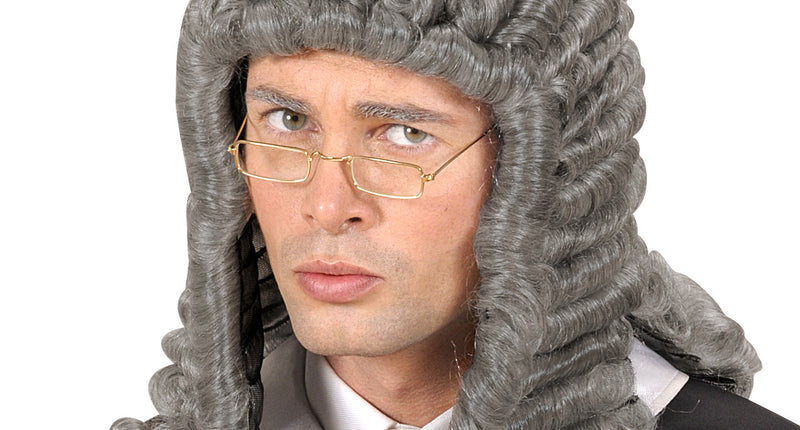 Widmann SRL Grijze rechter pruik