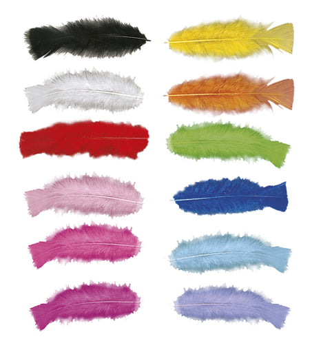 Widmann SRL Halloween decoratie zakje met 50 veertjes zwart