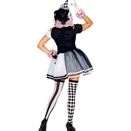 Widmann SRL Harlekijn kostuum dames luxe