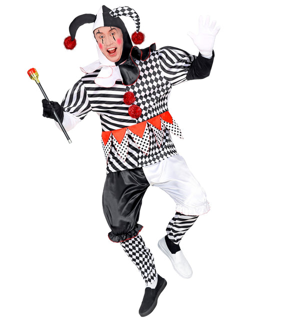 Widmann SRL Harlekijn kostuum heren luxe