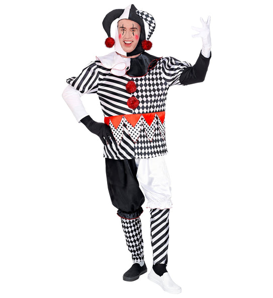 Widmann SRL Harlekijn kostuum heren luxe