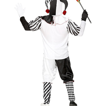 Widmann SRL Harlekijn kostuum heren luxe