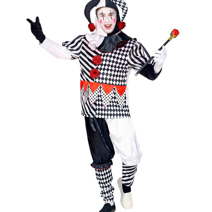 Widmann SRL Harlekijn kostuum heren luxe