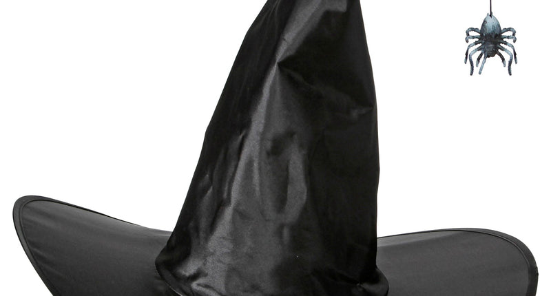 Widmann SRL Heksenhoed met spin