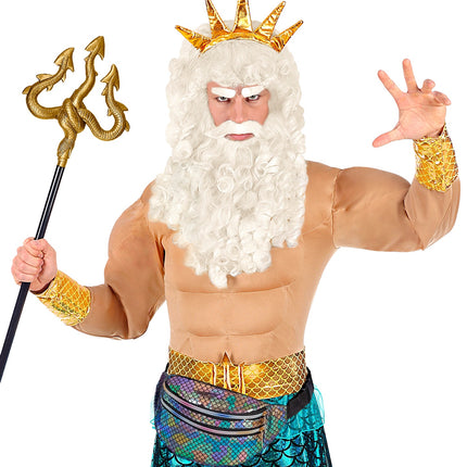 Widmann SRL Heuptas schubben holografisch