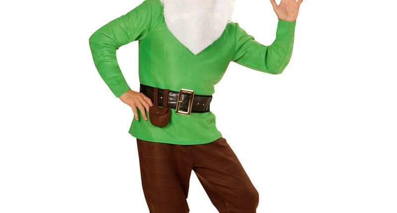 Widmann SRL Kabouter kostuum greeny