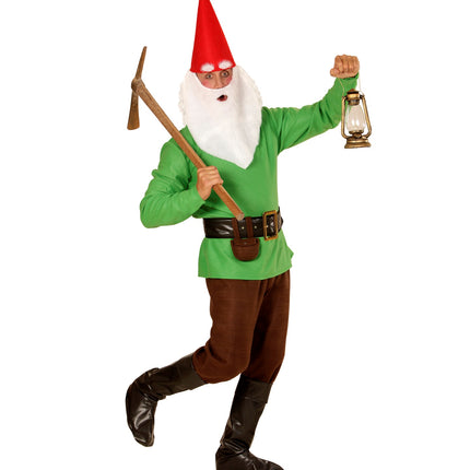 Widmann SRL Kabouter kostuum greeny
