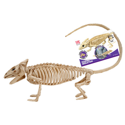 Widmann SRL Leguaan skelet