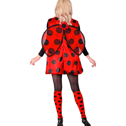 Widmann SRL Lieveheersbeestje kostuum