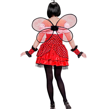 Widmann SRL Lieveheersbeestje kostuum Nore dames