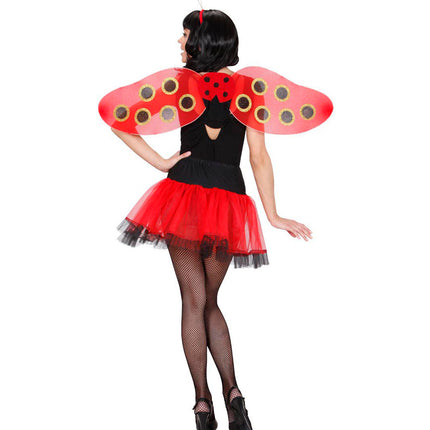 Widmann SRL Lieveheersbeestje vleugels met voelsprieten