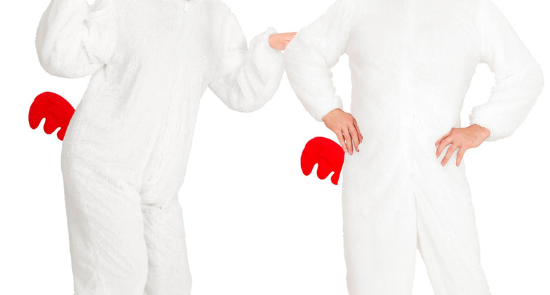 Widmann SRL Luxe kippen pakken voor volwassenen